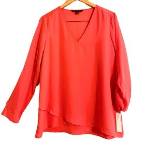 Zac & Rachel Chiffon V-Neck Blouse